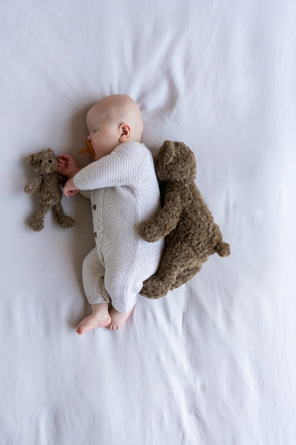 Benny the Bear - Image 3