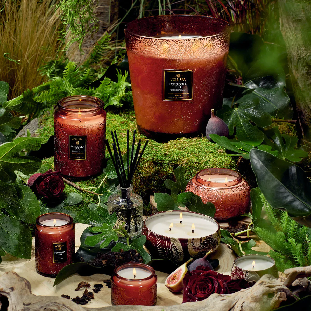 Forbidden Fig l Diffuser - Image 5