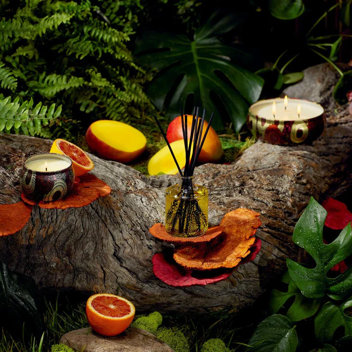 Goji & Tarocco Diffuser - Image 4