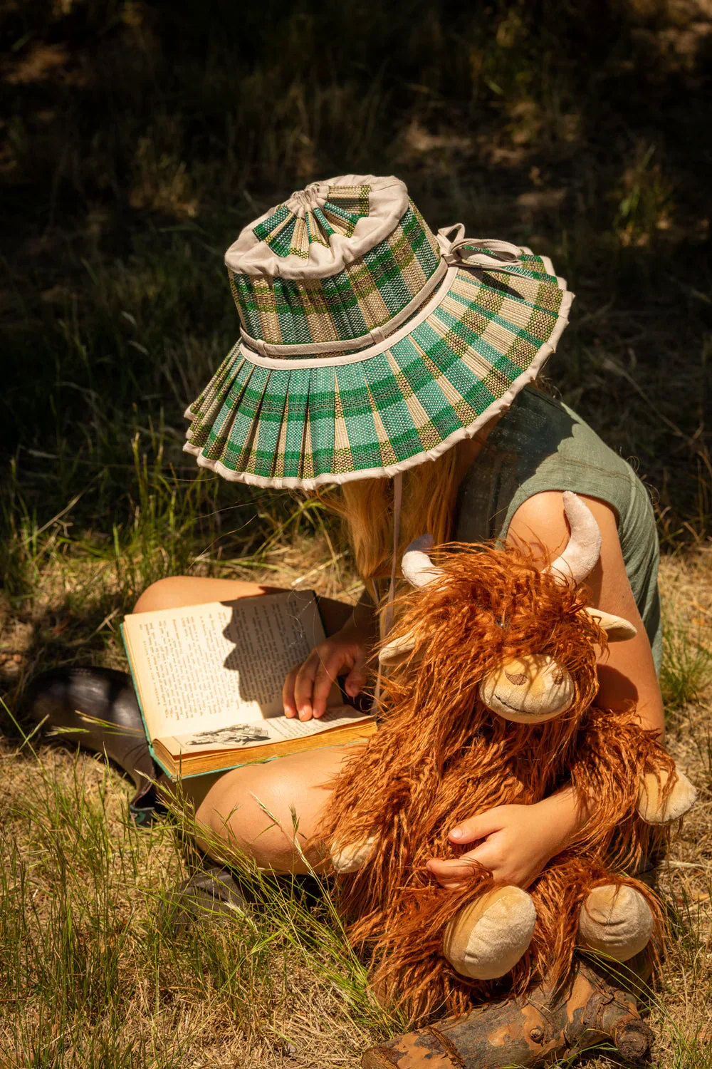 Henry the highland cow - Image 2