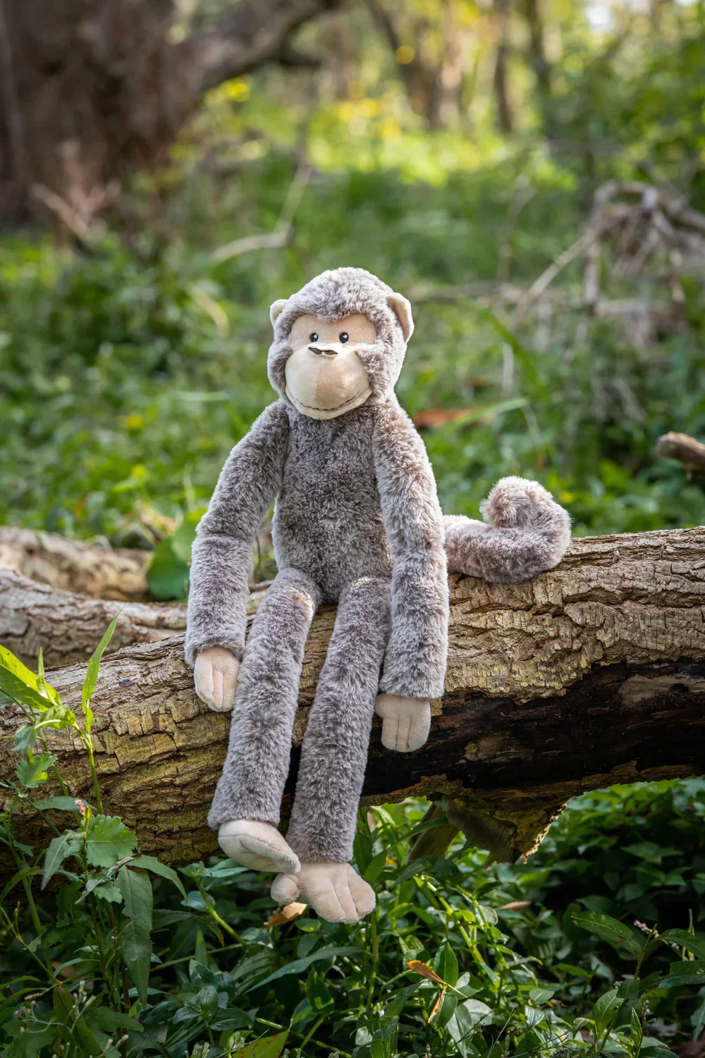 Mani the Monkey - Image 3