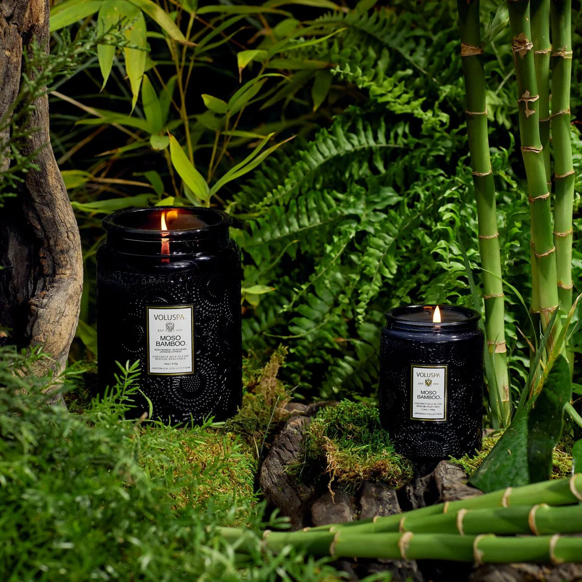 Moso Bamboo Candle l 100Hrs - Image 2