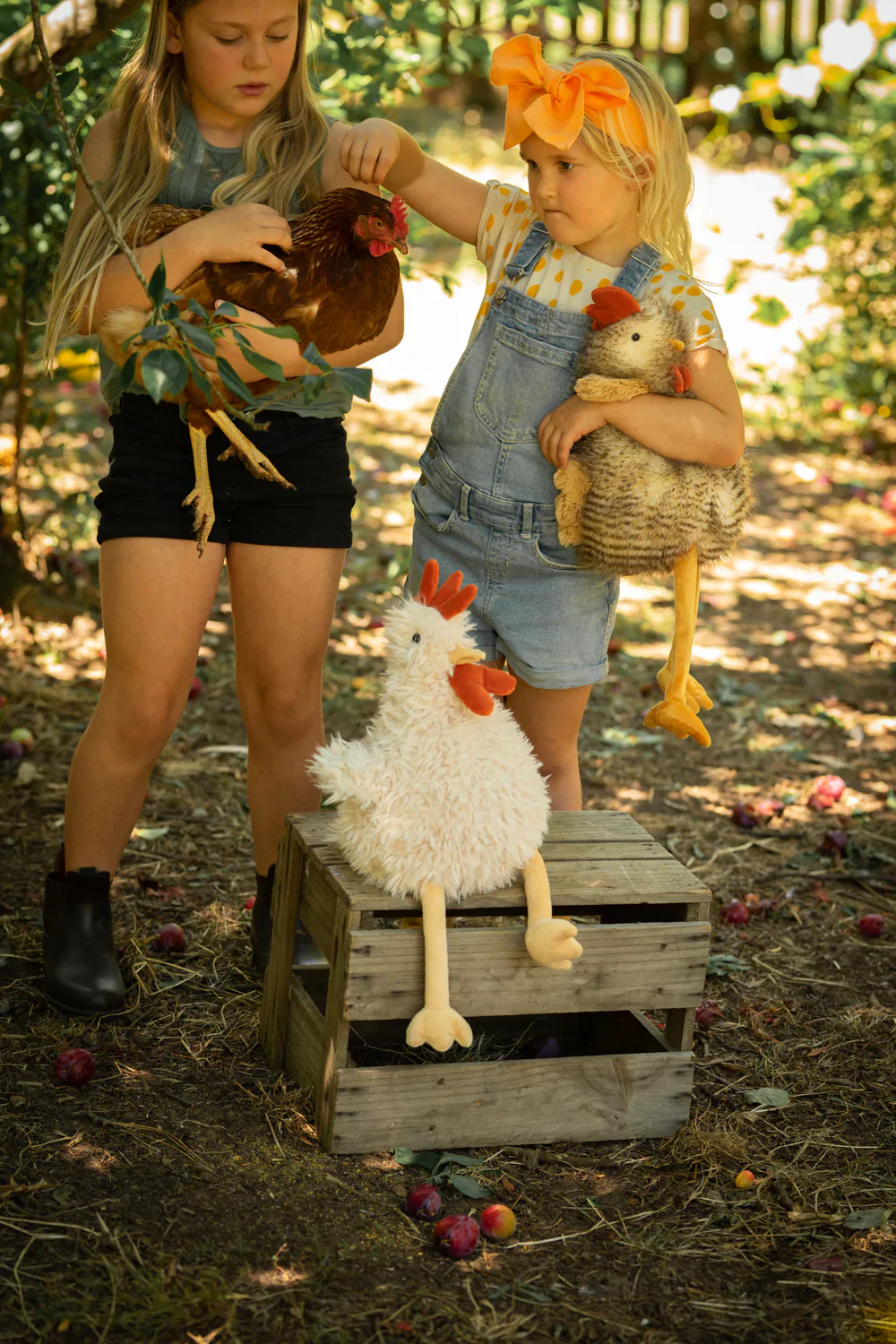 Roy the Rooster - Image 3