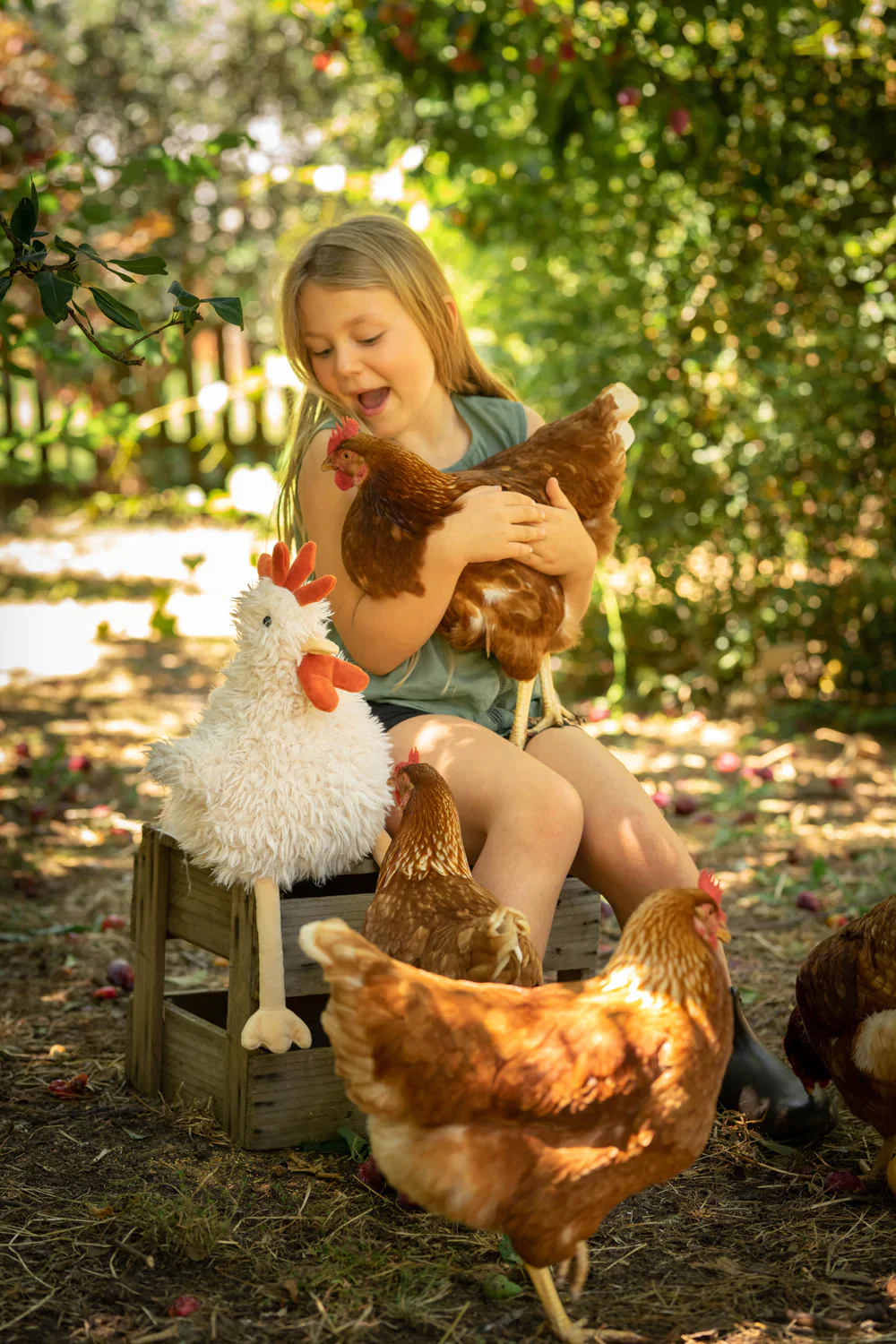 Roy the Rooster - Image 4