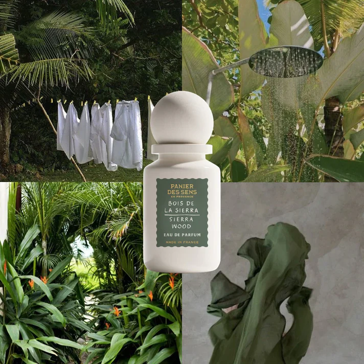 Sierra Wood Eau de Parfum - Image 5