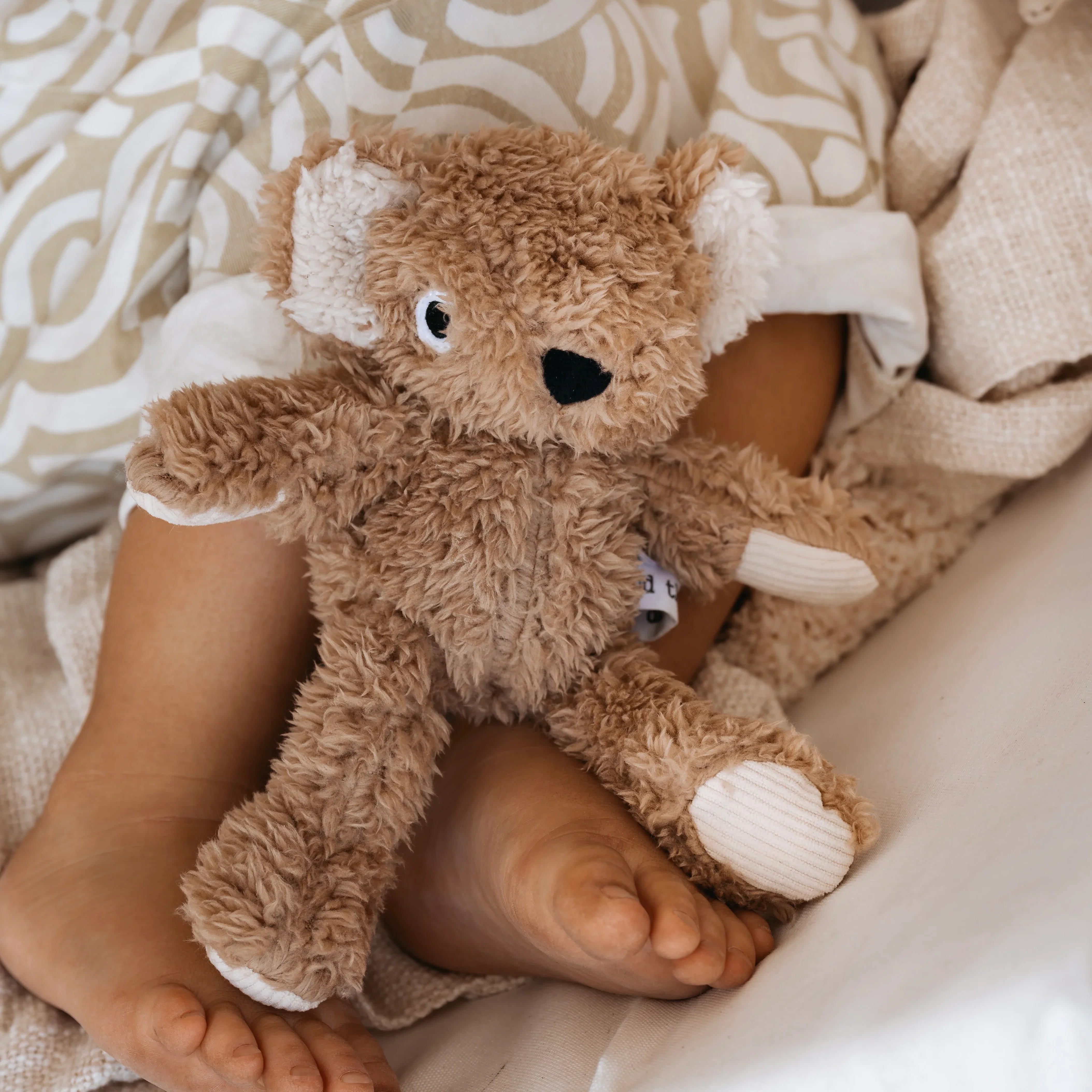 Wilbur Koala - Image 3